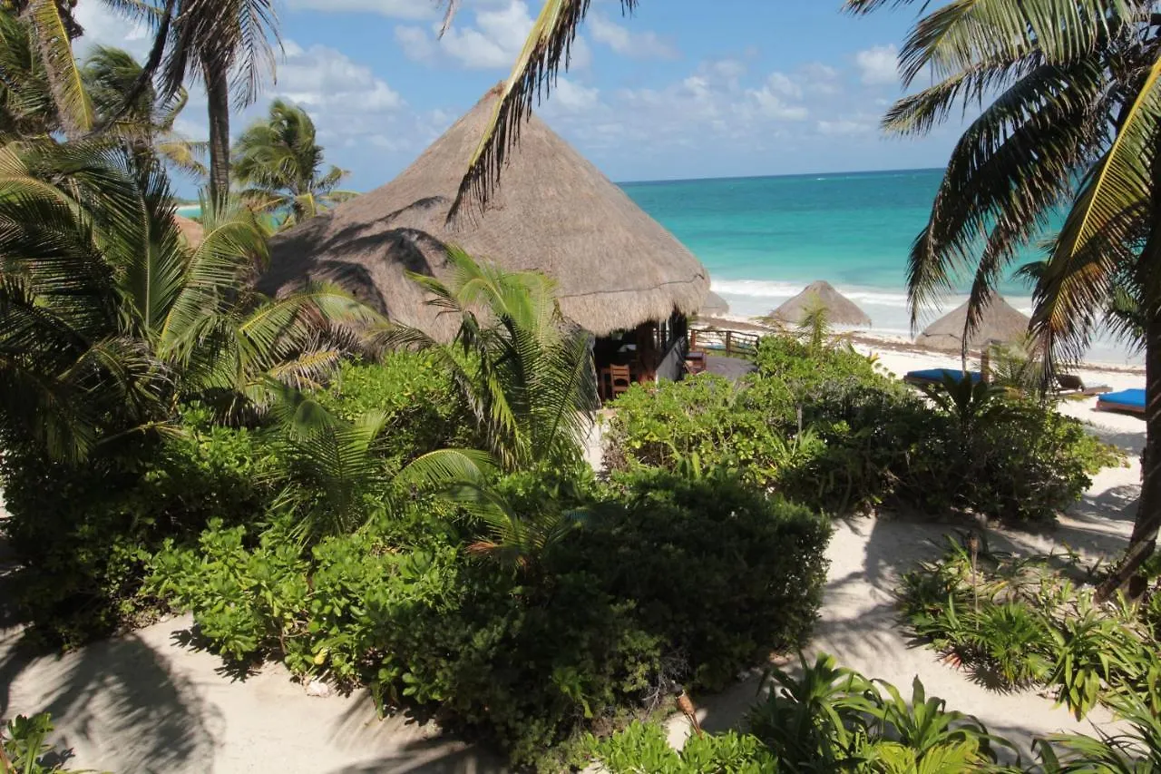 Sol Caribe Hotel Punta Allen
