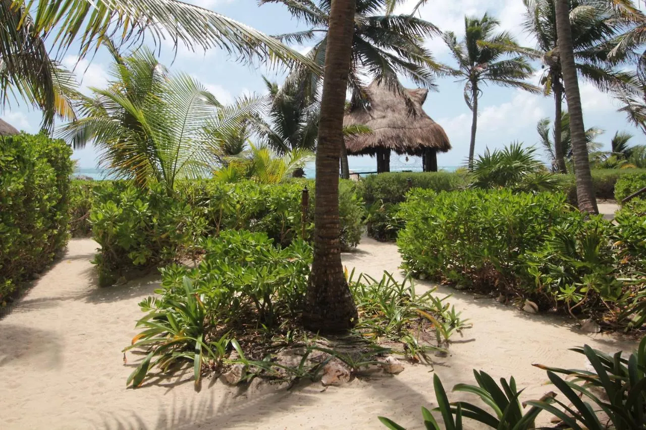 Sol Caribe Hotel Punta Allen Mexico